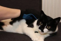 Merkloos Vachtverzorgingshandschoen -Dog Supplies 1200x800 2