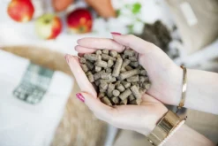 Kivo Petfood Hondenbrokken Gedroogde Lam - 14 Kg - Koudgeperst - Graanvrij -Dog Supplies 1200x800 28