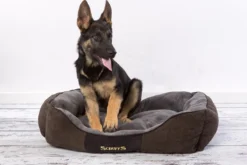 Hondenmand Zacht En Stevig, Anti-Slip En Wasbaar - Scruffs Chester Box Bed - In Grijs En Bruin In Maat S Tot XL - Kleur: Grijs, Maat: Large 37 Hondenmand Zacht En Stevig, Anti-Slip En Wasbaar - Scruffs Chester Box Bed - In Grijs En Bruin In Maat S Tot XL - Kleur: Grijs, Maat: Large -Dog Supplies 1200x800 45