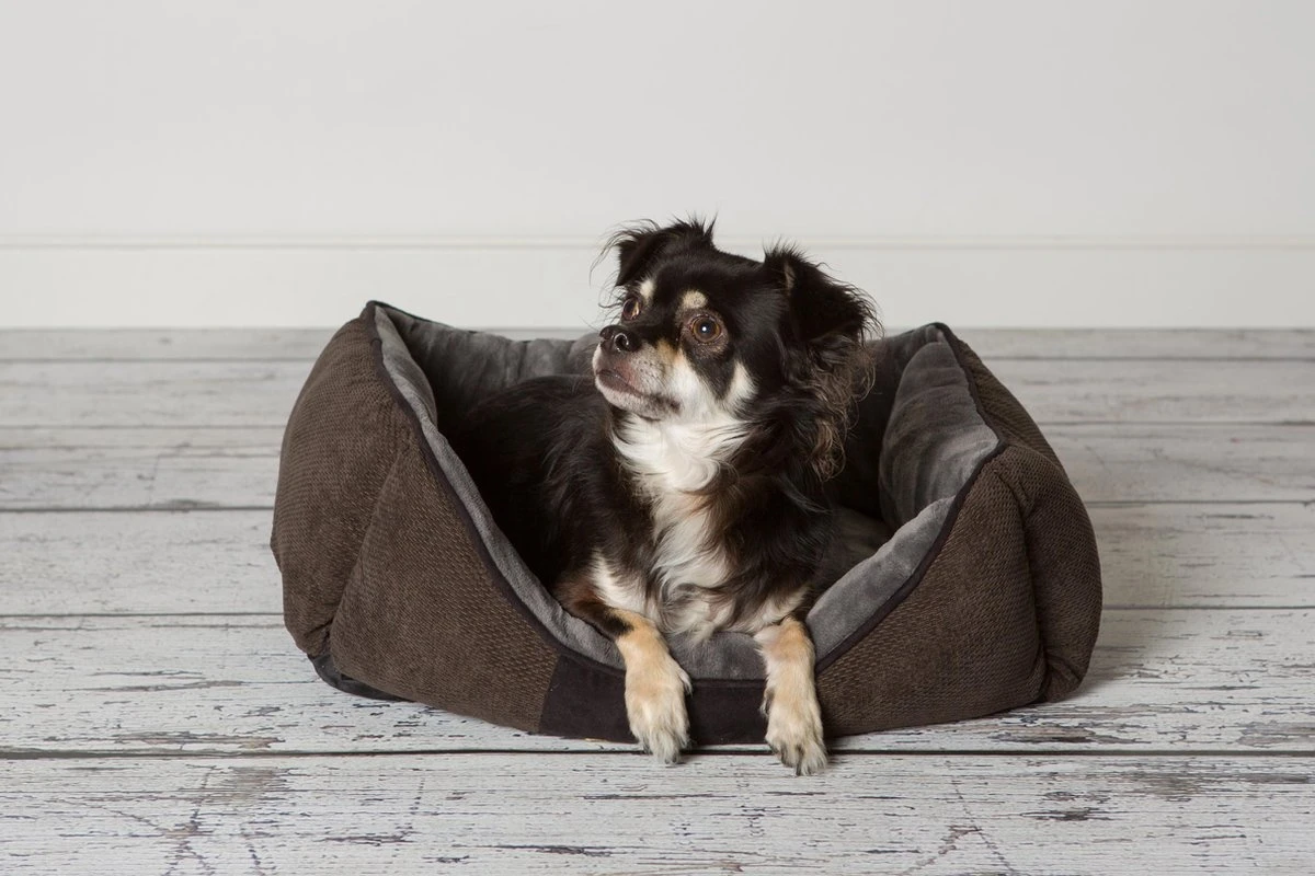 Hondenmand Zacht En Stevig, Anti-Slip En Wasbaar - Scruffs Chester Box Bed - In Grijs En Bruin In Maat S Tot XL - Kleur: Grijs, Maat: Large 20 Hondenmand Zacht En Stevig, Anti-Slip En Wasbaar - Scruffs Chester Box Bed - In Grijs En Bruin In Maat S Tot XL - Kleur: Grijs, Maat: Large - Afbeelding 20