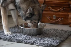 Royal Dry Absorberende Anti-knoeimat Voor Honden – Trekt Vuil Als Een Spons – Laat Geen Vocht Door – 61x45 Cm – Microfiber Chenille – Geschikt Voor Honden En Overige Huisdieren -Dog Supplies 1200x800 60