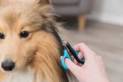 Trixie Gezicht- En Potenschaar Kunststof / Rvs 8 Cm -Dog Supplies 1200x800 8