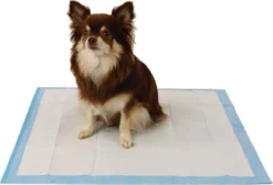 Easypets Puppy Training Pads - Zindelijkheidstraining - Hondentoilet - 58 X 58 Cm - 105 Stuks -Dog Supplies 1200x814