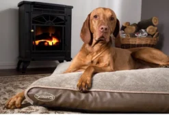 Scruffs Chateau - Hondenbed Orthopedisch Met Memory Foam Voor Extra Steun Voor Rug En Gewrichten - Grijs & Bruin Maat M/L - Kleur: Grijs, Maat: Medium -Dog Supplies 1200x820 1