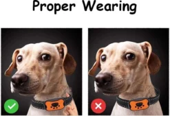 Merkloos Anti Blafband Voor Honden Blafband Anti Blaf Apparaat Blafband Zonder Schok - Diervriendelijk 12 Merkloos Anti Blafband Voor Honden Blafband Anti Blaf Apparaat Blafband Zonder Schok - Diervriendelijk -Dog Supplies 1200x822