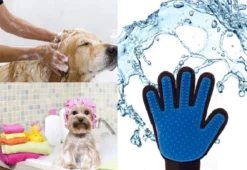 Vacht Verzorgingsborstel Voor Huisdieren - Blauw - LimitedDeals - Voor Honden Katten Konijnen Paarden - Tevens Massage Handschoen Voor Dieren! - Goed Voor De Verzorging Van De Vacht 11 Vacht Verzorgingsborstel Voor Huisdieren - Blauw - LimitedDeals - Voor Honden Katten Konijnen Paarden - Tevens Massage Handschoen Voor Dieren! - Goed Voor De Verzorging Van De Vacht -Dog Supplies 1200x825