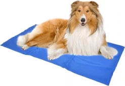 Duvo+ Koelmat - Blauw - XXL -Dog Supplies 1200x825 4