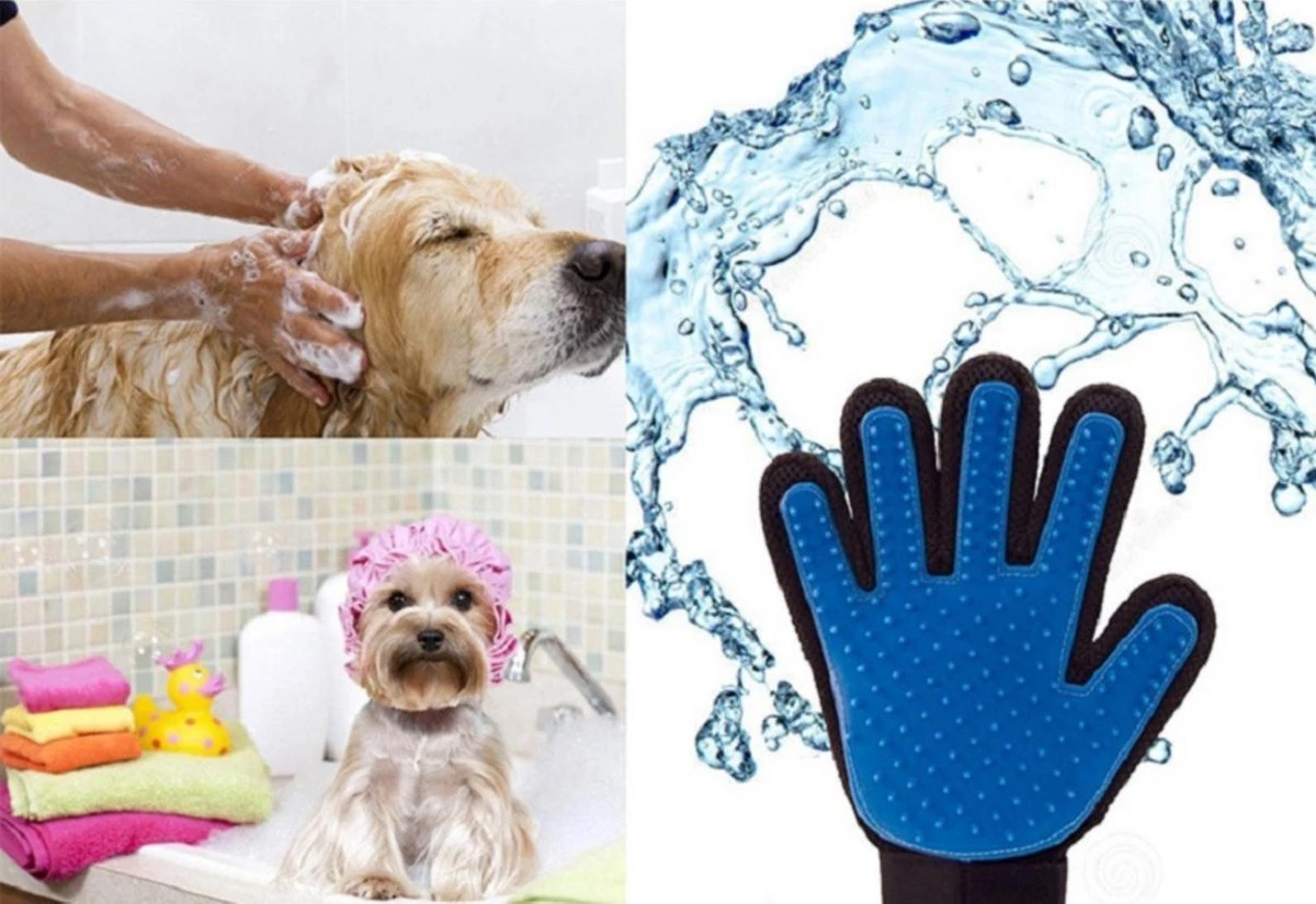 Vacht Verzorgingsborstel Voor Huisdieren - Blauw - LimitedDeals - Voor Honden Katten Konijnen Paarden - Tevens Massage Handschoen Voor Dieren! - Goed Voor De Verzorging Van De Vacht 3 Vacht Verzorgingsborstel Voor Huisdieren - Blauw - LimitedDeals - Voor Honden Katten Konijnen Paarden - Tevens Massage Handschoen Voor Dieren! - Goed Voor De Verzorging Van De Vacht - Afbeelding 3