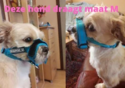 Sharon B Muilkorf Paars Maat M - Fleece - Wasbaar - Reflecterend -Dog Supplies 1200x852 2