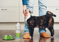 OxyFresh Pet Mondwater Hond En Kat. Helpt Tegen Tandsteen, Plak En Vieze Ademgeurtjes 7 OxyFresh Pet Mondwater Hond En Kat. Helpt Tegen Tandsteen, Plak En Vieze Ademgeurtjes -Dog Supplies 1200x864 5
