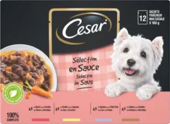 Cesar Selectie In Saus Maaltijdzakjes Honden Natvoer - Vlees En Groenten In Saus - 48 X 100 Gr -Dog Supplies 1200x875