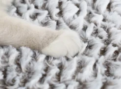 Merkloos Zelfverwarmende Dierendeken Zonder Stroom Thermo Deken Hond Kat Inclusief Adreslabel 70 X 47 Cm -Dog Supplies 1200x878