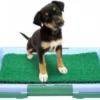 Hondentoilet Kunstgras - 3 Laags - 46 X 33 X 6cm - Puppy Pads - Zindelijkheidstraining Hond - Training Pads Puppy - Hondenmat