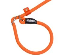 Rebel Petz - Honden Trainingslijn Met Halsband - Taupe, Zwart, Groen & Oranje - Maat Small Of Large - Kleur: Oranje, Maat: Large 37 Rebel Petz - Honden Trainingslijn Met Halsband - Taupe, Zwart, Groen & Oranje - Maat Small Of Large - Kleur: Oranje, Maat: Large -Dog Supplies 1200x893 2