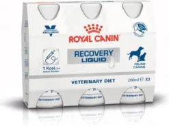 Dog Supplies 33 Royal Canin Recovery Liquid Hond Kat 3 X 200 Ml