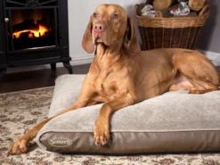 Scruffs Chateau - Hondenbed Orthopedisch Met Memory Foam Voor Extra Steun Voor Rug En Gewrichten - Grijs & Bruin Maat M/L - Kleur: Grijs, Maat: Medium -Dog Supplies 1200x898 3