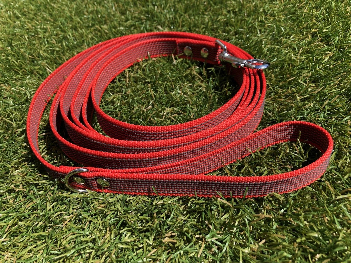 Merkloos Hondenriem - Antislip Lijn - 3 Meter - Rood - Training - Anti Slip - Volglijn - Looplijn - Speurlijn - Puppy 1 Merkloos Hondenriem - Antislip Lijn - 3 Meter - Rood - Training - Anti Slip - Volglijn - Looplijn - Speurlijn - Puppy
