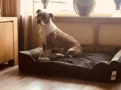 Hondenmand Cordura XXXL – Donkergrijs - 125 X 90 X 24 Cm -Dog Supplies 1200x900 12