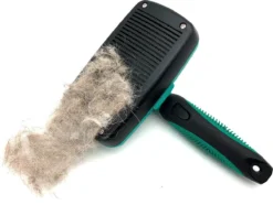 ElegaPet Hondenborstel Groen - Hondenhaar Verwijderen - Kat En Hondenkam - Slickerborstel Hond En Kat - Groomer - Ondervacht Kam Hond - Borstel Hond - Hondenborstel Langharig En Kortharig - Slickerborstel - Anti Klit/Knopen/Huidschilfers -Dog Supplies 1200x902