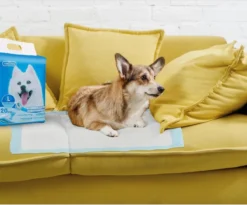 Nobleza 48LXE - Puppy Training Pads - 60 X 90 Cm - Zindelijkheidstraining - 120 Stuks -Dog Supplies 1200x997 2