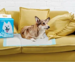 Nobleza 48LXB - Puppy Training Pads - 60 X 90 Cm - Zindelijkheidstraining - 100 Stuks -Dog Supplies 1200x997 3