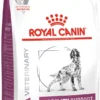 Royal Canin VHN Mobility Support - 2 Kg