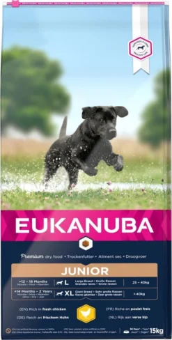 Eukanuba Developing Junior Large Breed Kip - Hondenvoer - 15 Kg 9 Eukanuba Developing Junior Large Breed Kip - Hondenvoer - 15 Kg -Dog Supplies 607x1200
