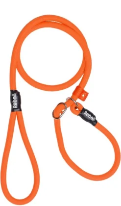 Rebel Petz - Honden Trainingslijn Met Halsband - Taupe, Zwart, Groen & Oranje - Maat Small Of Large - Kleur: Oranje, Maat: Large