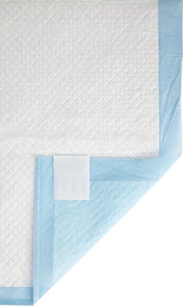 Homestyle Budget Trainingsmat - Zindelijkstraining - 100 Stuks - 58x58 Cm 3 Homestyle Budget Trainingsmat - Zindelijkstraining - 100 Stuks - 58x58 Cm - Afbeelding 3