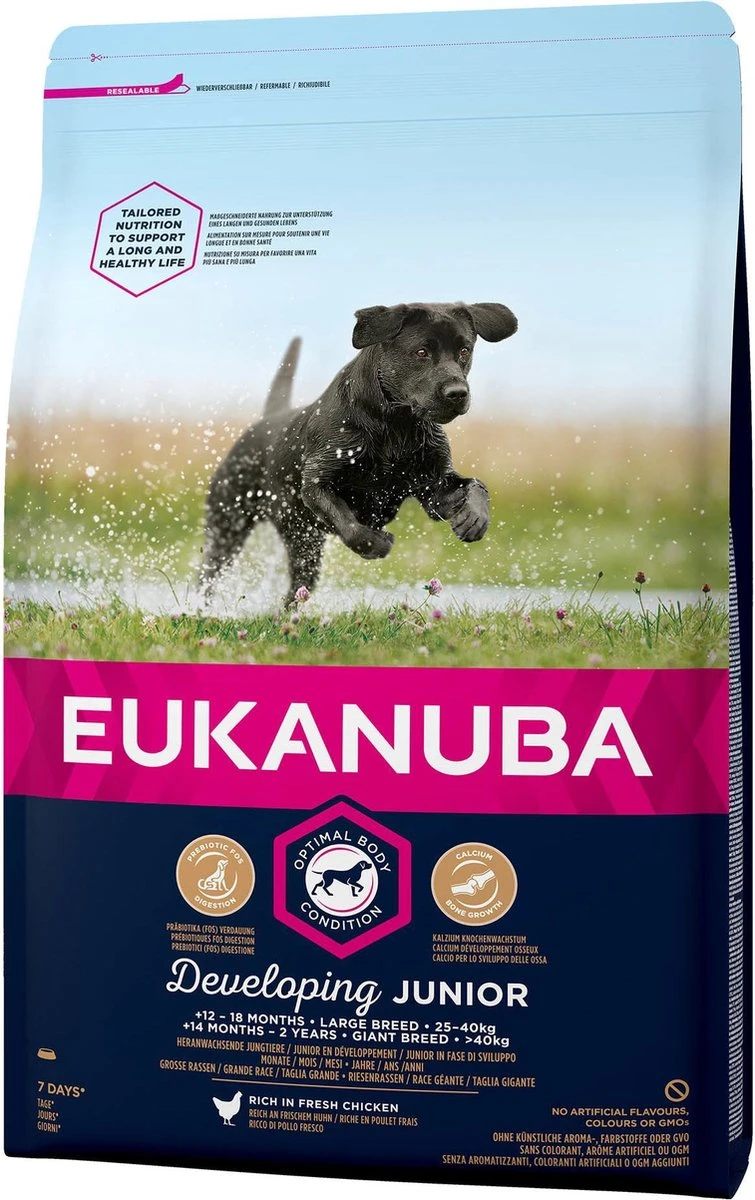 Eukanuba Developing Junior Large Breed Kip - Hondenvoer - 15 Kg 5 Eukanuba Developing Junior Large Breed Kip - Hondenvoer - 15 Kg - Afbeelding 5