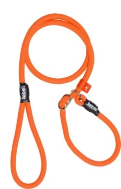 Rebel Petz - Honden Trainingslijn Met Halsband - Taupe, Zwart, Groen & Oranje - Maat Small Of Large - Kleur: Oranje, Maat: Large 39 Rebel Petz - Honden Trainingslijn Met Halsband - Taupe, Zwart, Groen & Oranje - Maat Small Of Large - Kleur: Oranje, Maat: Large -Dog Supplies 772x1200