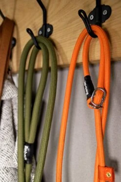 Rebel Petz - Honden Trainingslijn Met Halsband - Taupe, Zwart, Groen & Oranje - Maat Small Of Large - Kleur: Oranje, Maat: Large 34 Rebel Petz - Honden Trainingslijn Met Halsband - Taupe, Zwart, Groen & Oranje - Maat Small Of Large - Kleur: Oranje, Maat: Large -Dog Supplies 800x1200 20