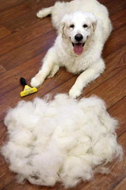 Furminator® Hond Langhaar - Vermindert Haaruitval Tot 90% - Hondenborstel - L -Dog Supplies 800x1200 3