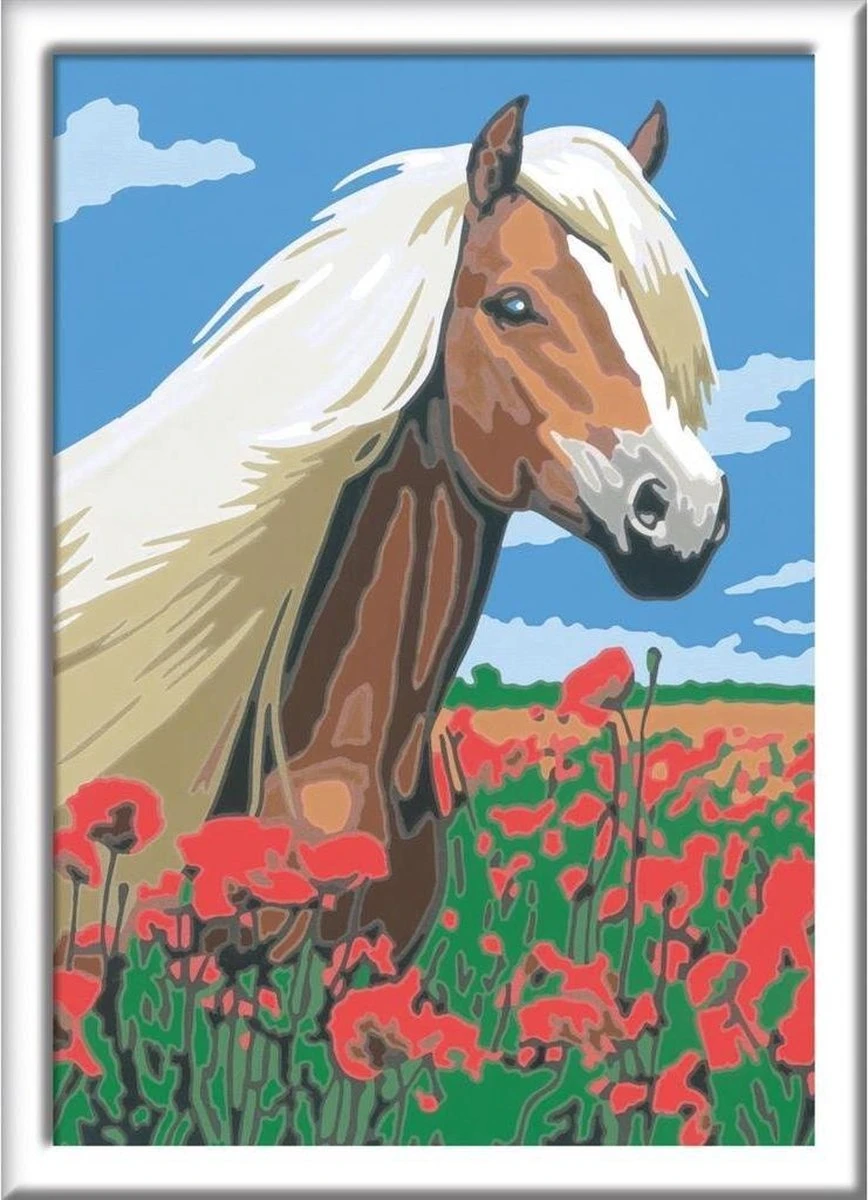 Ravensburger Schilder Op Nummer 3in1 Set Dieren 3 Ravensburger Schilder Op Nummer 3in1 Set Dieren - Afbeelding 3