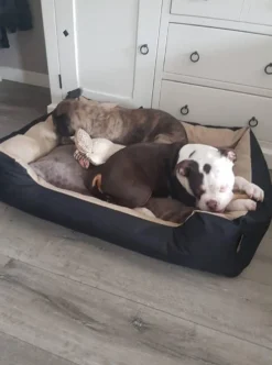 Hondenmand Cordura XXXL – Donkergrijs - 125 X 90 X 24 Cm -Dog Supplies 892x1200