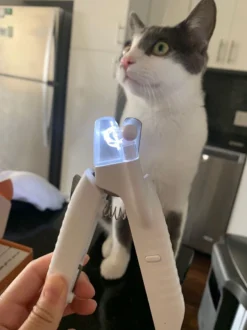 SunnyPets - Professionele Dieren Nagelknipper - Wit - Met LED En Vijl - Hond - Kat - Geschikt Voor Alle - Nageltang -Dog Supplies 899x1200