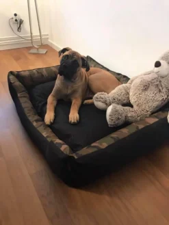 Hondenmand Cordura XXXL – Donkergrijs - 125 X 90 X 24 Cm -Dog Supplies 900x1200 12