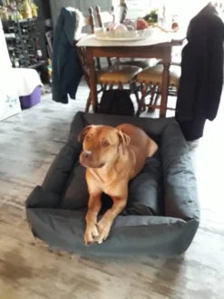 Hondenmand Cordura XXXL – Donkergrijs - 125 X 90 X 24 Cm -Dog Supplies 900x1200 13