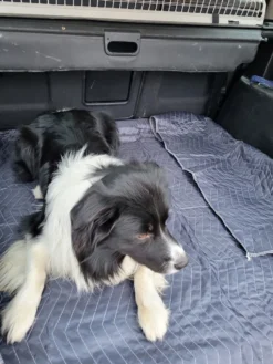 Luxe Hondendeken 200 X 150 Cm Auto Achterbank Kofferbak Vuilafstotend & Beschermend -Dog Supplies 900x1200 15