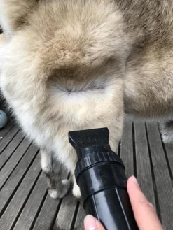 Waterblazer Hond - Hondendroger -Dog Supplies 900x1200