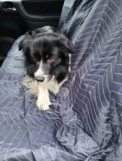 Luxe Hondendeken 200 X 150 Cm Auto Achterbank Kofferbak Vuilafstotend & Beschermend