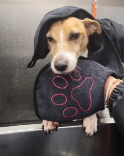 N4dogs – Hondenhanddoek – Honden Handdoek – Microvezel Handdoek – Handdoek Hond – Droogdoek Hond – Dierendeken – Sterk Absorberend – Handdoek Met Zakken - Zwart - 66 X 23 Cm