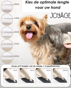 Joyage Professionele Hondentondeuse Voor Dikke Vacht – Honden Tondeuse & Hondentrimmer Tondeuse – Stille Tondeuse Katten & Honden Trimset Lang Haar – Trimmer Hond - Hondentondeuse Draadloos - Tondeuse Voor Honden - Tondeuse Hond Dikke Vacht -Dog Supplies 962x1200 2