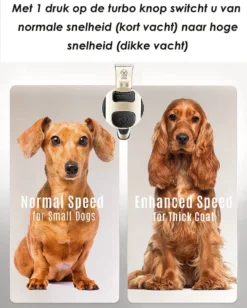Joyage Professionele Hondentondeuse Voor Dikke Vacht – Honden Tondeuse & Hondentrimmer Tondeuse – Stille Tondeuse Katten & Honden Trimset Lang Haar – Trimmer Hond - Hondentondeuse Draadloos - Tondeuse Voor Honden - Tondeuse Hond Dikke Vacht -Dog Supplies 962x1200 3