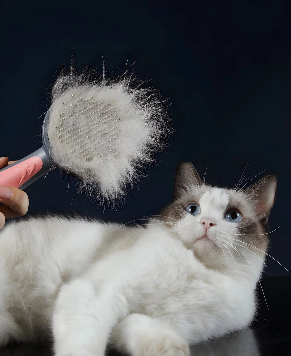 Pakeway T9 - Kattenborstel - Zelfreinigende Kattenkam - Groen - Massageborstel - 19,3 Cm 10 Pakeway T9 - Kattenborstel - Zelfreinigende Kattenkam - Groen - Massageborstel - 19,3 Cm - Afbeelding 10